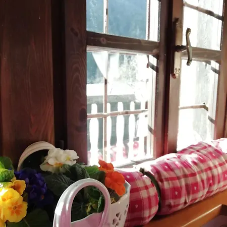 Holiday home Delle Lobbie Ceppo Morelli