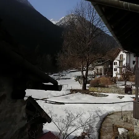 Delle Lobbie * Ceppo Morelli