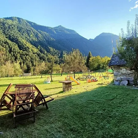 Delle Lobbie Ceppo Morelli