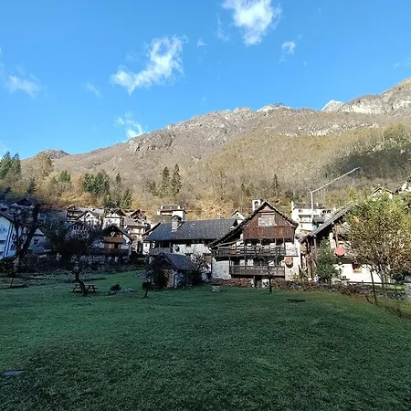 Delle Lobbie * Ceppo Morelli