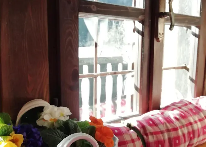 Dom wakacyjny Delle Lobbie Ceppo Morelli