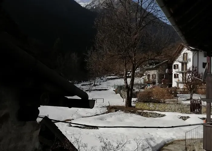 Delle Lobbie * Ceppo Morelli